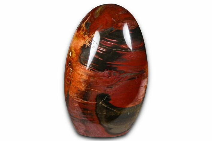 Freestanding, Polished Petrified Wood - Madagascar #384342